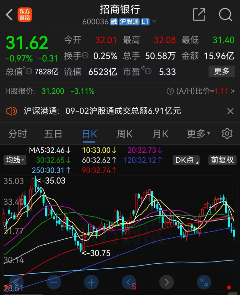 大叶转债早盘闪崩背后的博弈,强赎倒计时与大叶股份的估值压力 大叶转债早盘闪崩背后的博弈,强赎倒计时与大叶股份的估值压力