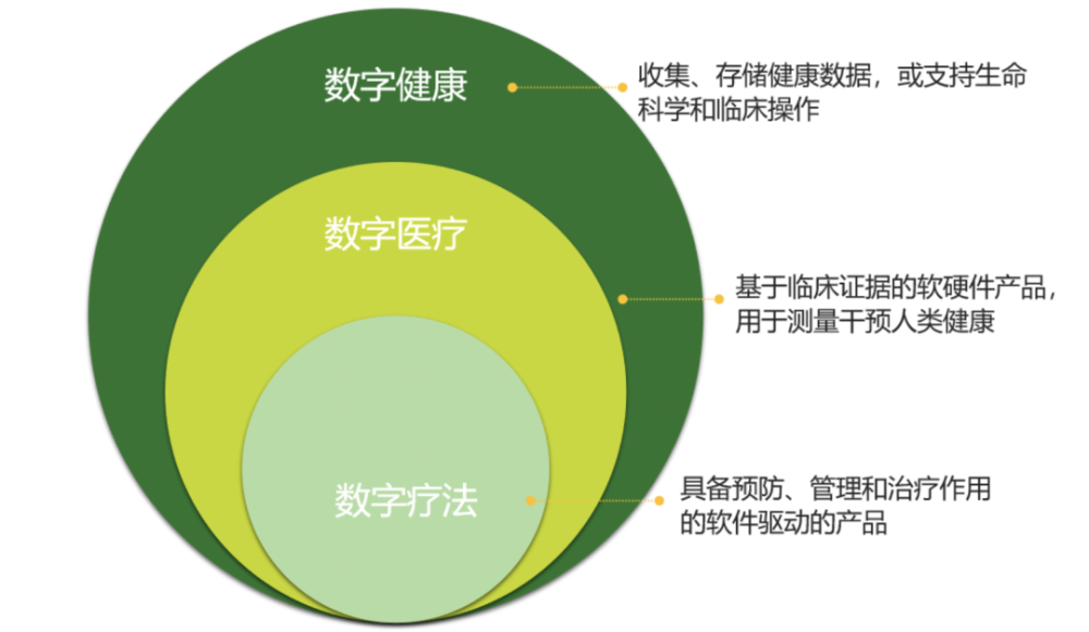 解构叮当健康盘中异动,数字医疗的风口、泡沫与价值回归之辩 解构叮当健康盘中异动,数字医疗的风口、泡沫与价值回归之辩