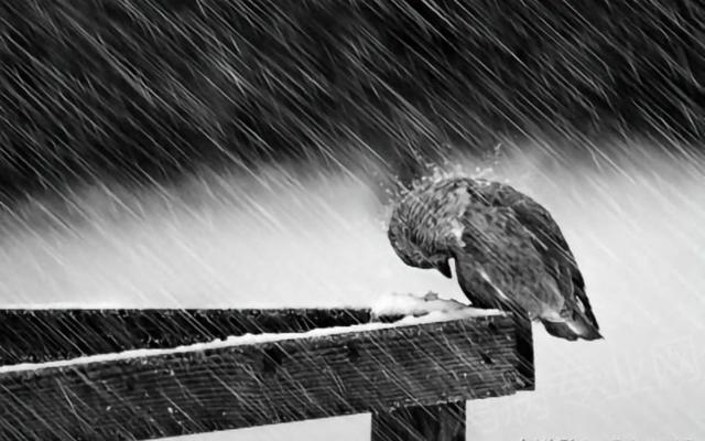 那扇替我们挡风遮雨的玻璃,在负重前行 那扇替我们挡风遮雨的玻璃,在负重前行