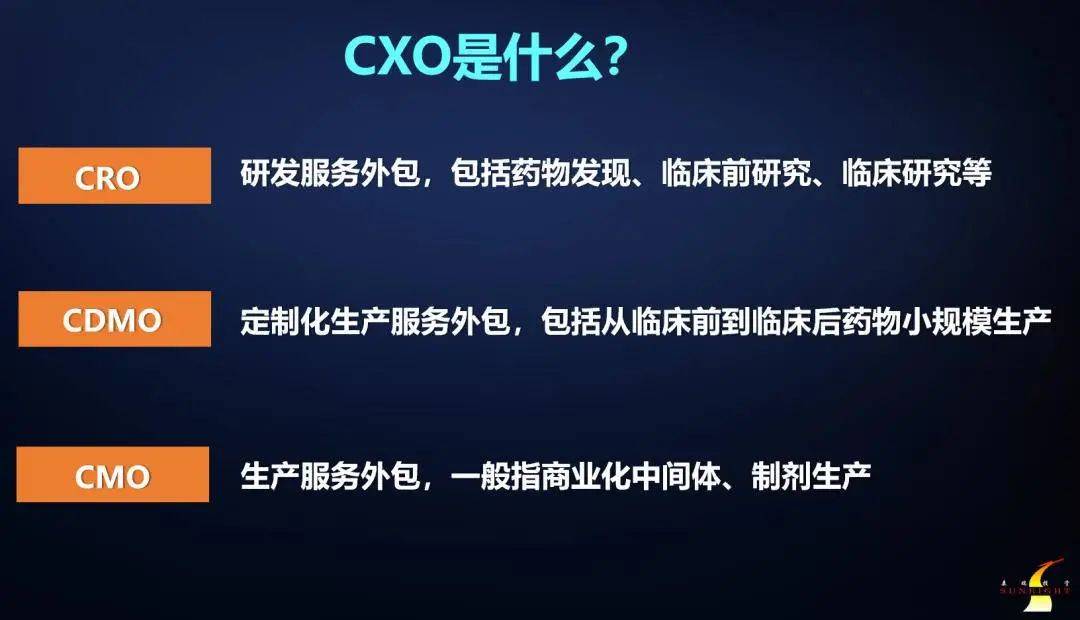 药明生物盘中异动，资本市场的惊心一幕与CXO赛道的冷思考