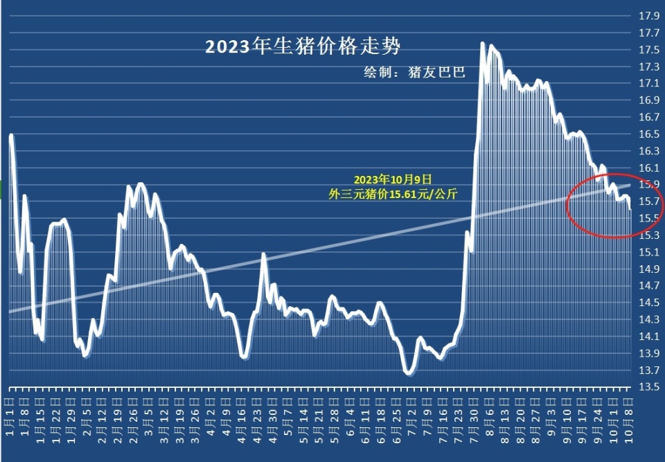 猪价站上20元/公斤关口，周期轮转下的冷思考与持久战