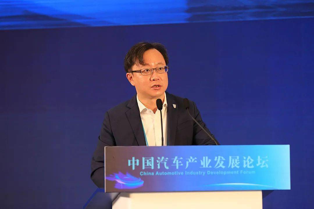 关于聘任王自勇先生为公司副总经理的公告与展望