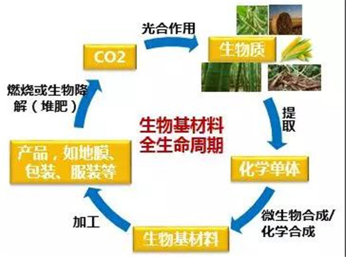 中粮科技,在生物基赛道上,重塑未来材料的新想象 中粮科技,在生物基赛道上,重塑未来材料的新想象
