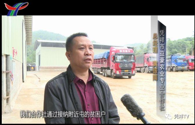 300兆瓦!粤港澳大湾区首个变速抽蓄工程进入机电安装阶段 擘画绿色能源新图景 300兆瓦!粤港澳大湾区首个变速抽蓄工程进入机电安装阶段 擘画绿色能源新图景