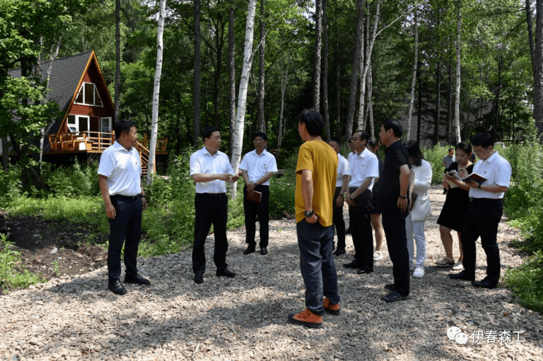 从绿水青山到初心蒙尘，透视伊春市政协原党组成员的反面镜鉴