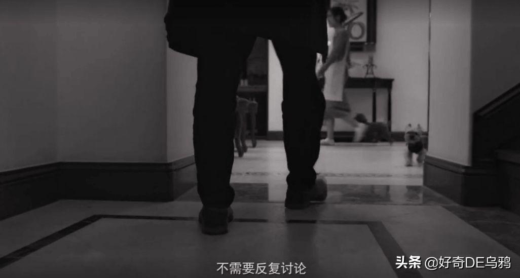 藏在版本号里的时光密码