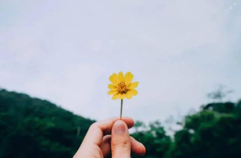 当天空发怒,极端天气如何撼动全球粮仓 当天空发怒,极端天气如何撼动全球粮仓