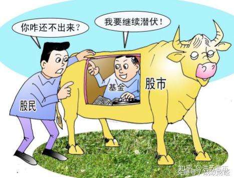 别在牛市初期丢了筹码，分化才是散户真正的聚宝盆