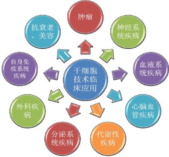 Allogene,改写癌症治疗规则的现货型细胞疗法 Allogene,改写癌症治疗规则的现货型细胞疗法