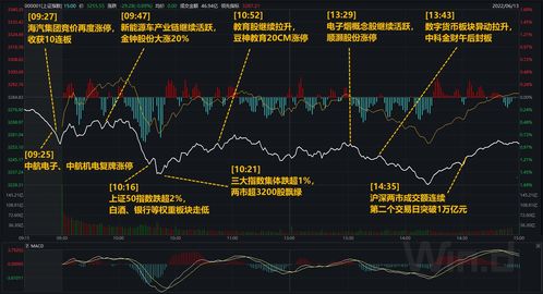 慧悦财经盘中异动，一场数字游戏还是价值信号？