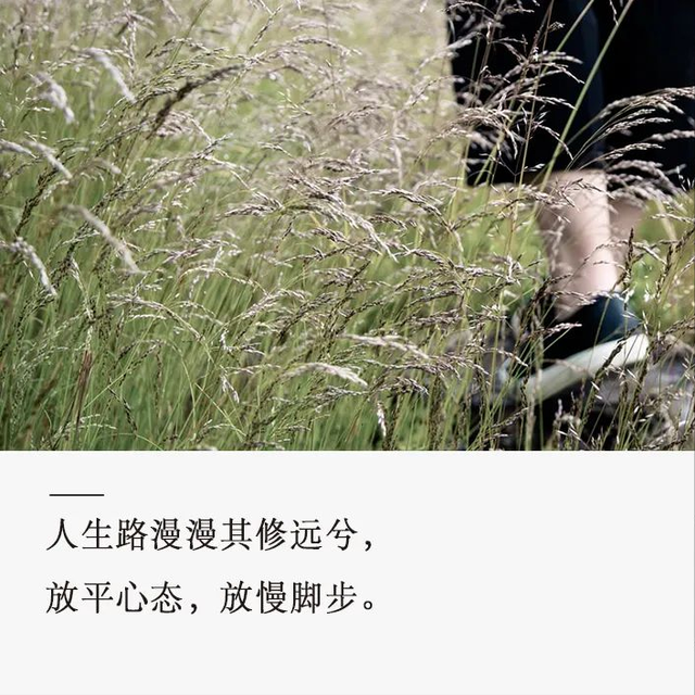 放缓步伐,方能致远亦得近安 放缓步伐,方能致远亦得近安