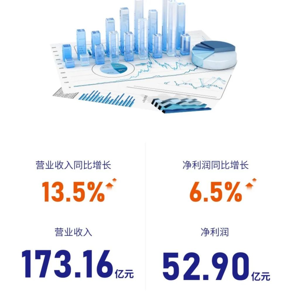 当三份财报写下同一个答案，告别增长迷恋，拥抱韧性生长