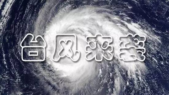 惊魂一刻!盘中急速跳水5.04%是倒车接人还是风暴前兆? 惊魂一刻!盘中急速跳水5.04%是倒车接人还是风暴前兆?