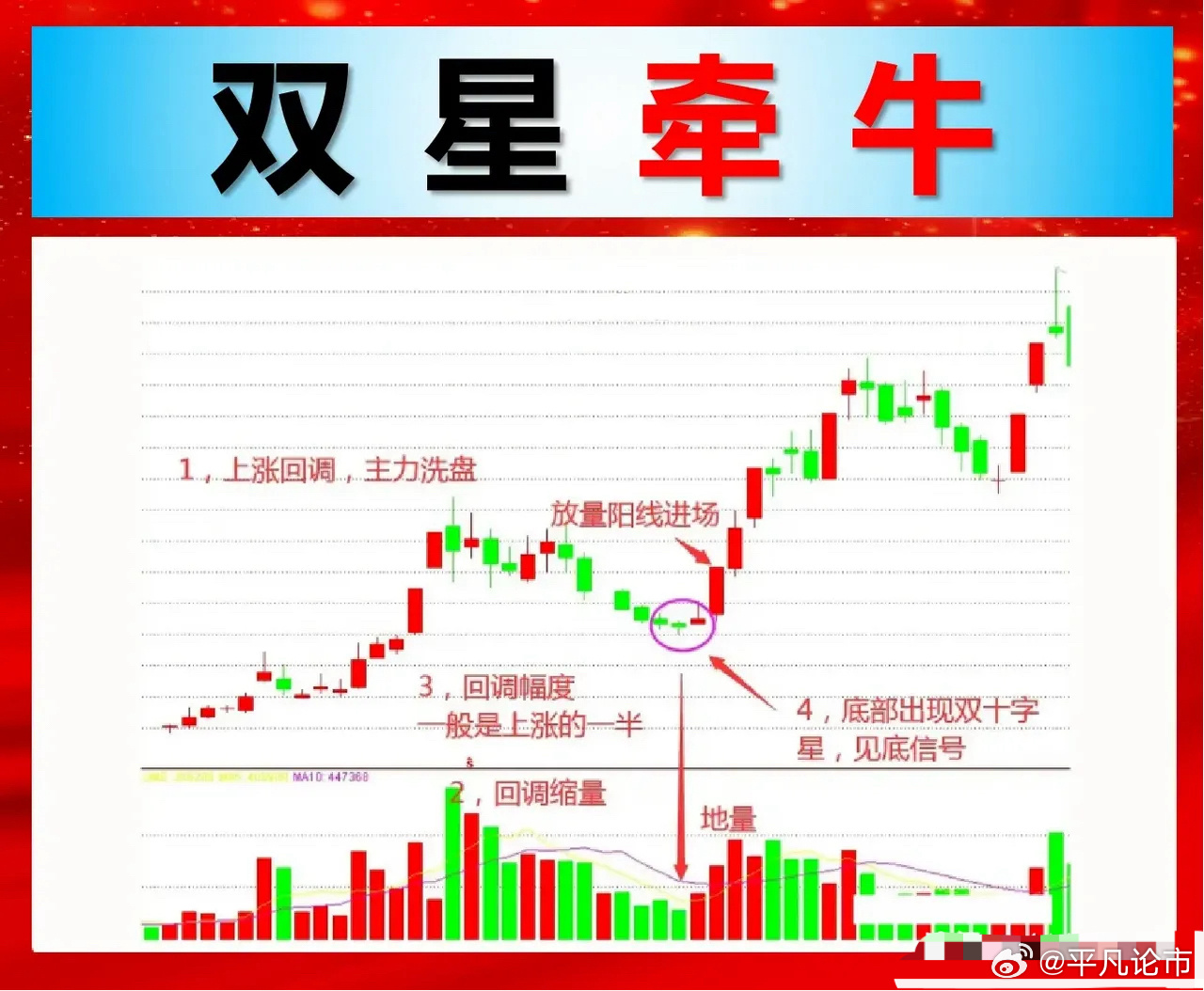 双星闪耀，一场股价飙升背后的和而不同