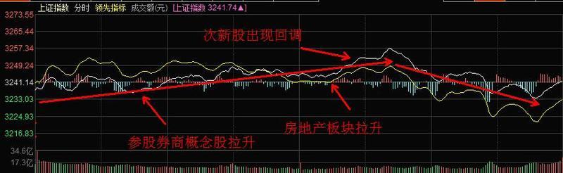 双星闪耀，一场股价飙升背后的和而不同