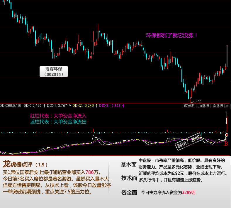 大树云盘中异动的深层逻辑，是价值重估的前夜，还是游资的短暂狂欢？