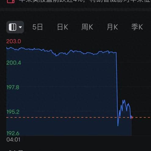 瞬间跳水5.16%XX股下午盘闪崩至4.23美元，恐慌性抛售还是错杀？