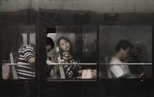 风暴眼中的孤木，我们如何面对生命中那些猝然的遭袭