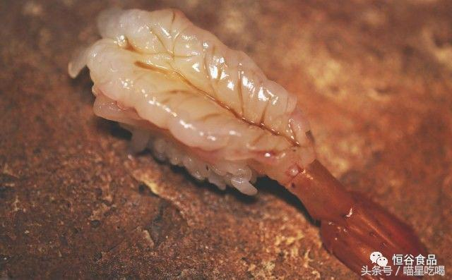 盘中那一抹白，虾筋变色背后的生命密码