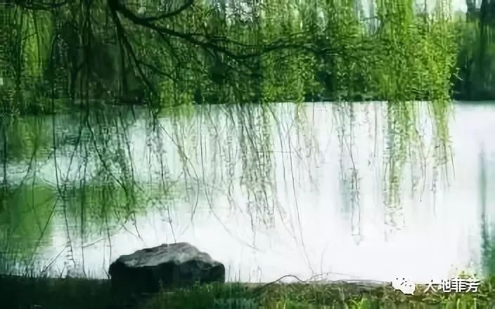 柳暗花明处，必有山重水复时