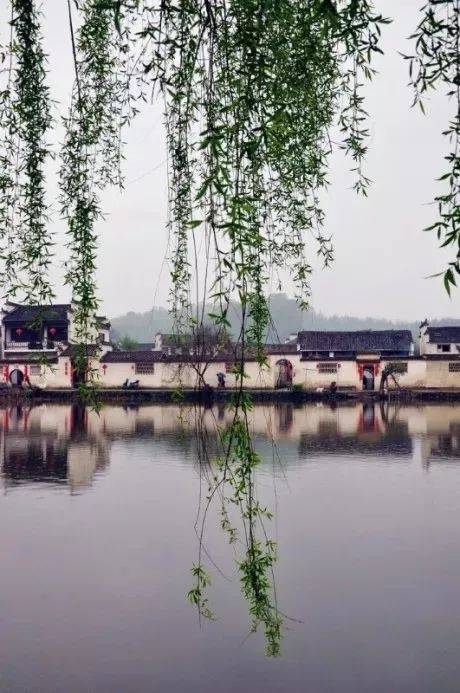 柳暗花明处，必有山重水复时