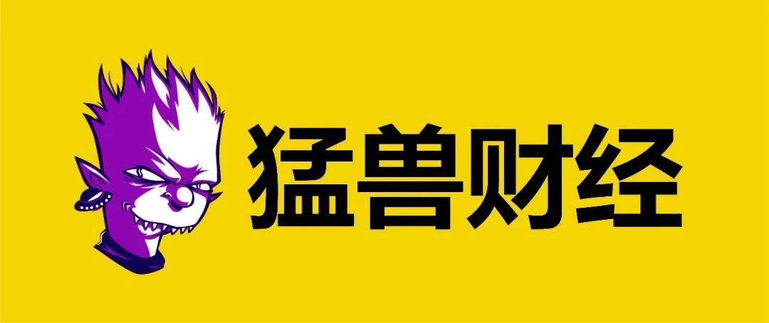 0.33%的股份，100%的尊严，一位散户股东在股东大会上的提问