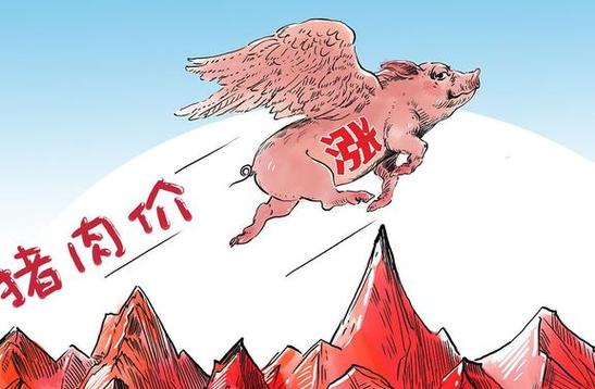 生猪弱反弹遇强现实，利空出尽尚早，维持反弹抛空仍是理性选择
