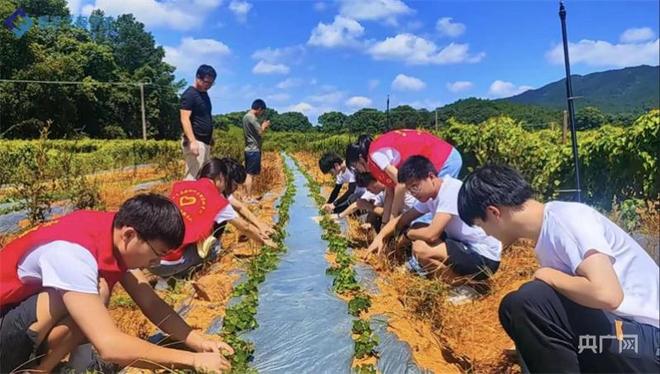 深耕希望的田野，诠释助力乡村振兴的责任与担当