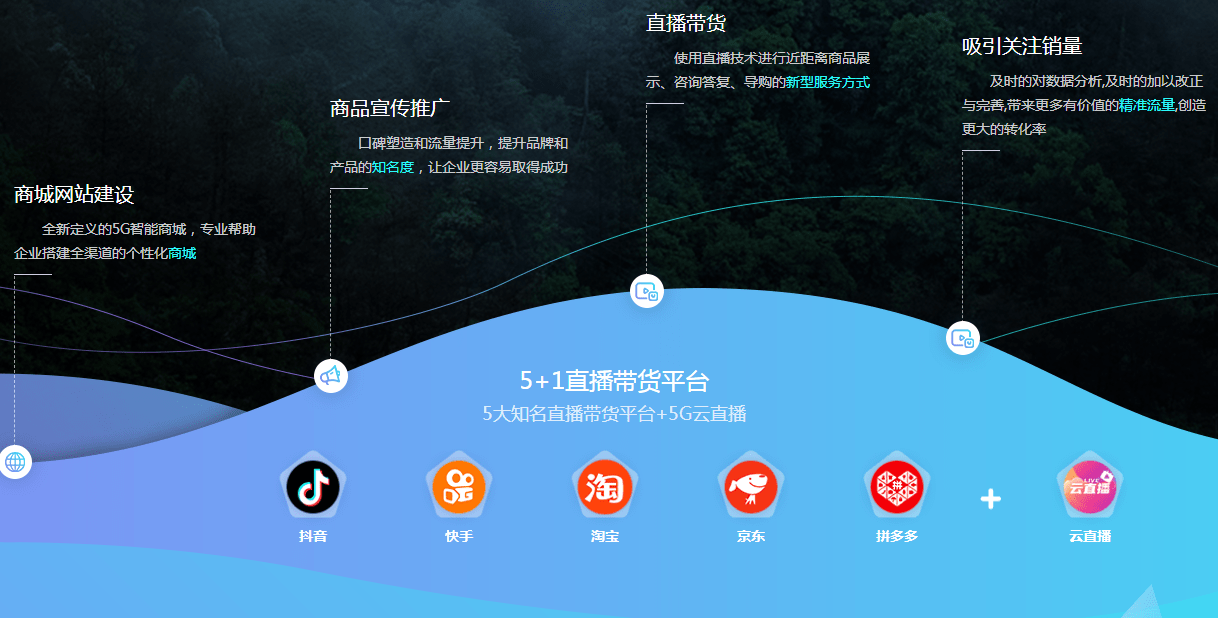利润迷雾下的航行，X公司的增长幻象与转型暗礁