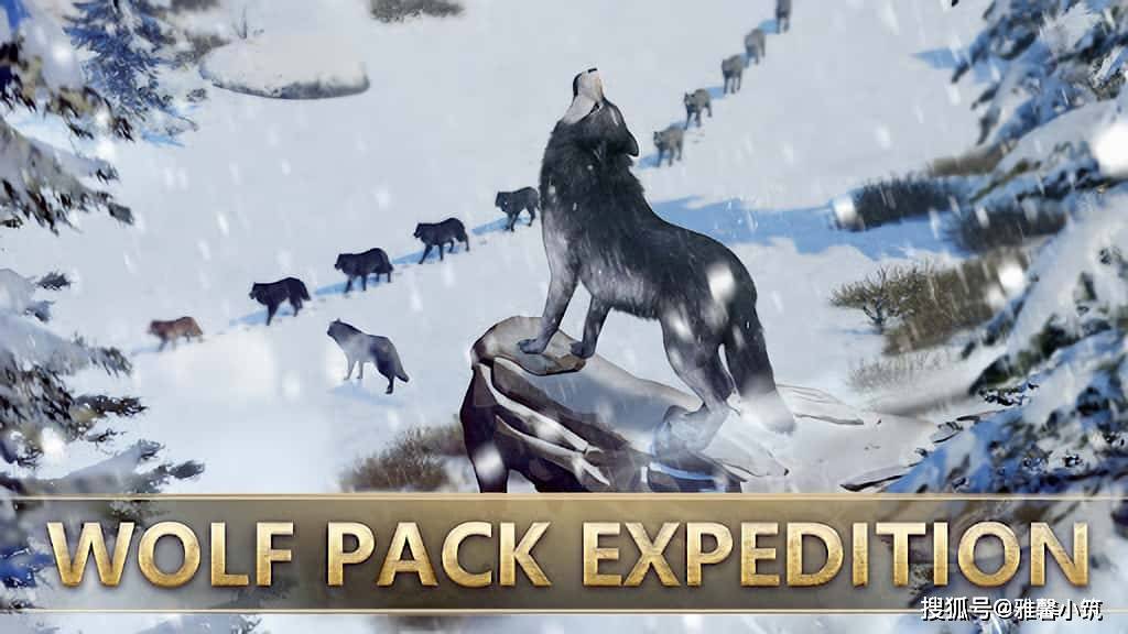 Wolfskin予增持，在寒冬中披上坚韧的狼皮