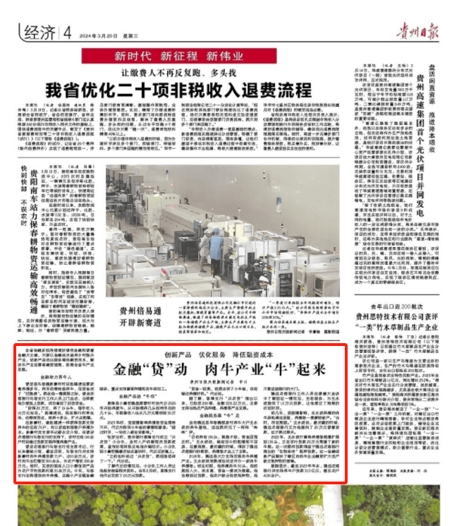 以金融活水润泽高质量发展沃土—论做好金融五篇大文章