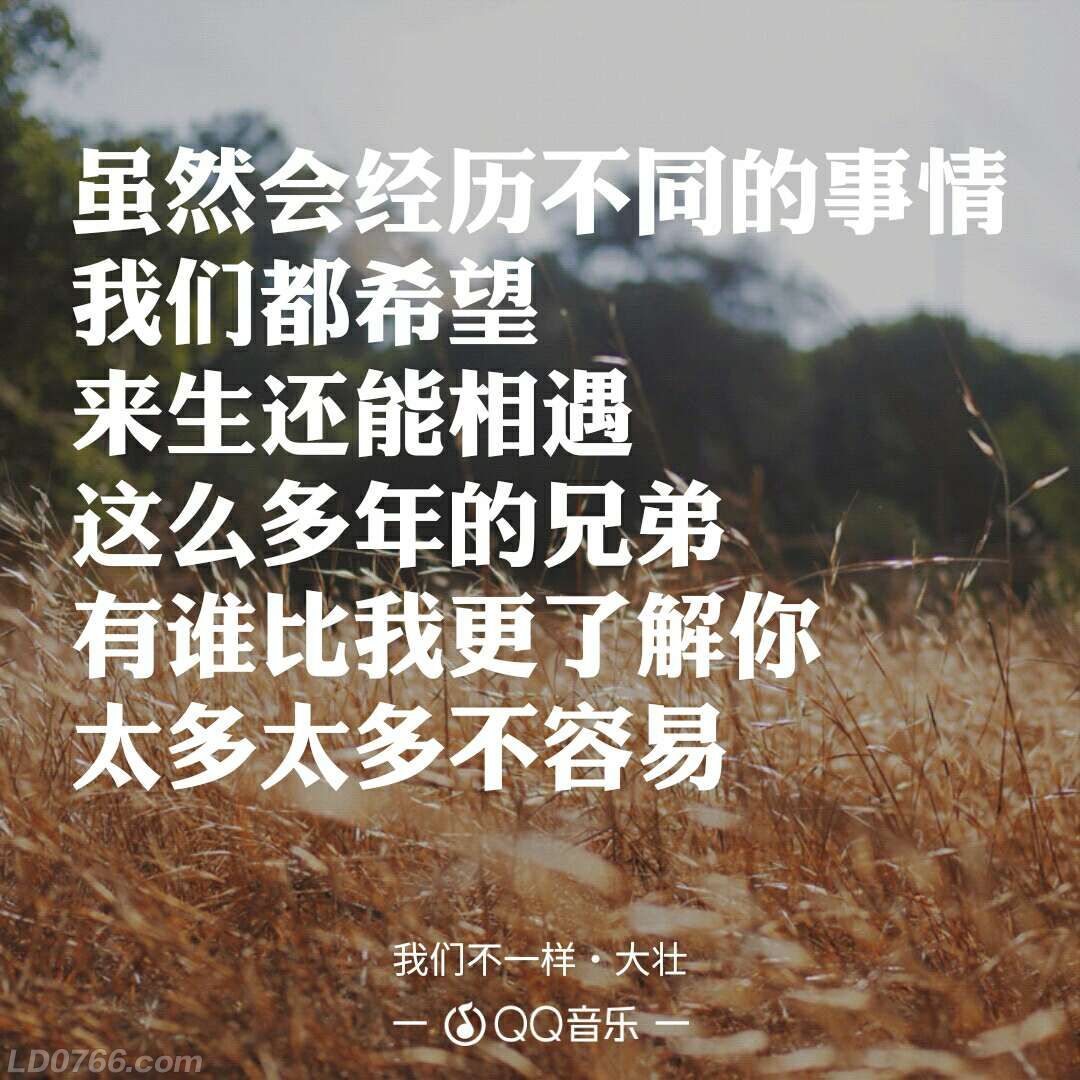 人这一生，其实都在正寻求的路上。我们总以为自己在寻找某个具体的东西—一份工作、一段感情、一个答案、一种活法。可走着走着才发现，我们真正寻求的，从来不是抵达某一处，而是确认自己还在路上的那份踏实