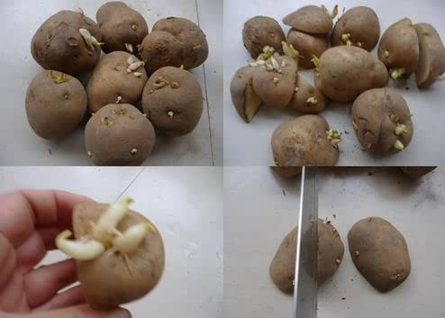 把一年切成四块，第一块决定剩下三块的味道