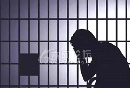 系主动投案，歧路尽头的一场自我救赎