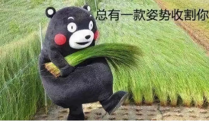割不动了，一场与韭菜身份的和解