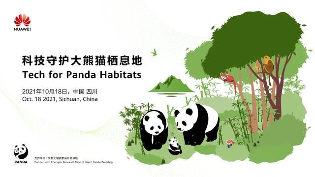 还能讲出什么新故事？