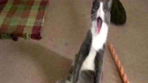 发生了什么？