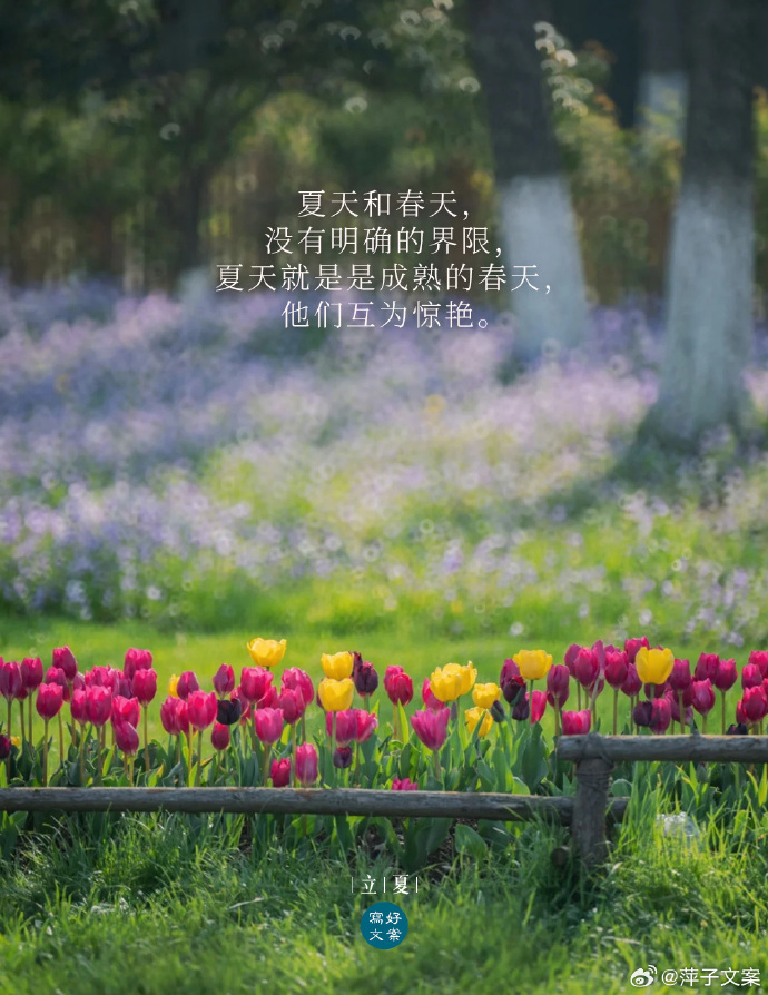 夏与春的边界