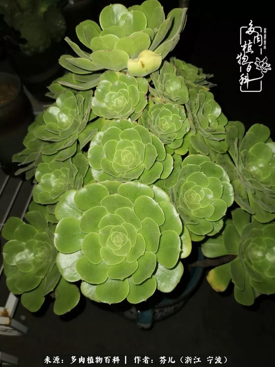 多地确认，秋风起时，我们共享同一种凉意