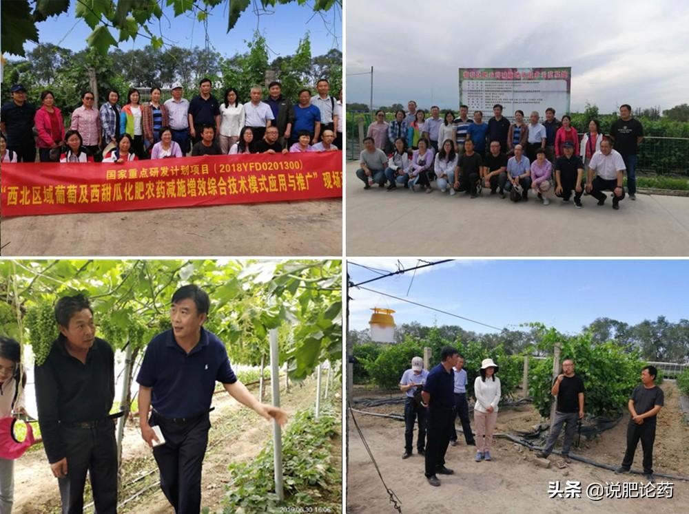 科创板开板六周年，硬科技浪潮奔涌，资本市场改革的试验田何以成为示范田