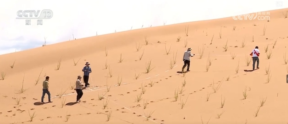 当黄沙遮蔽新月,中东何以成为全球秩序的裂谷 当黄沙遮蔽新月,中东何以成为全球秩序的裂谷