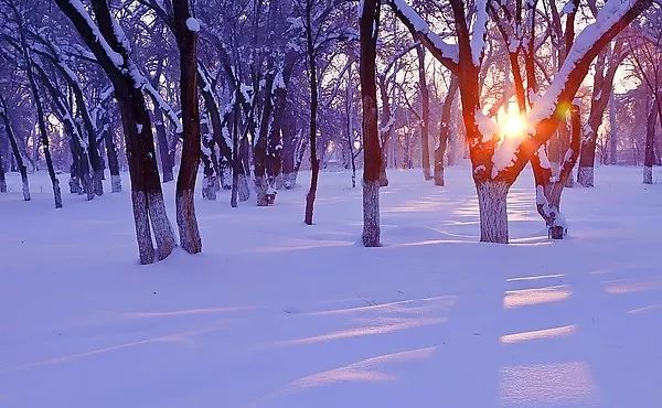 许多年后，面对那场突如其来的大雪，我仍会想起遥远的那个下午