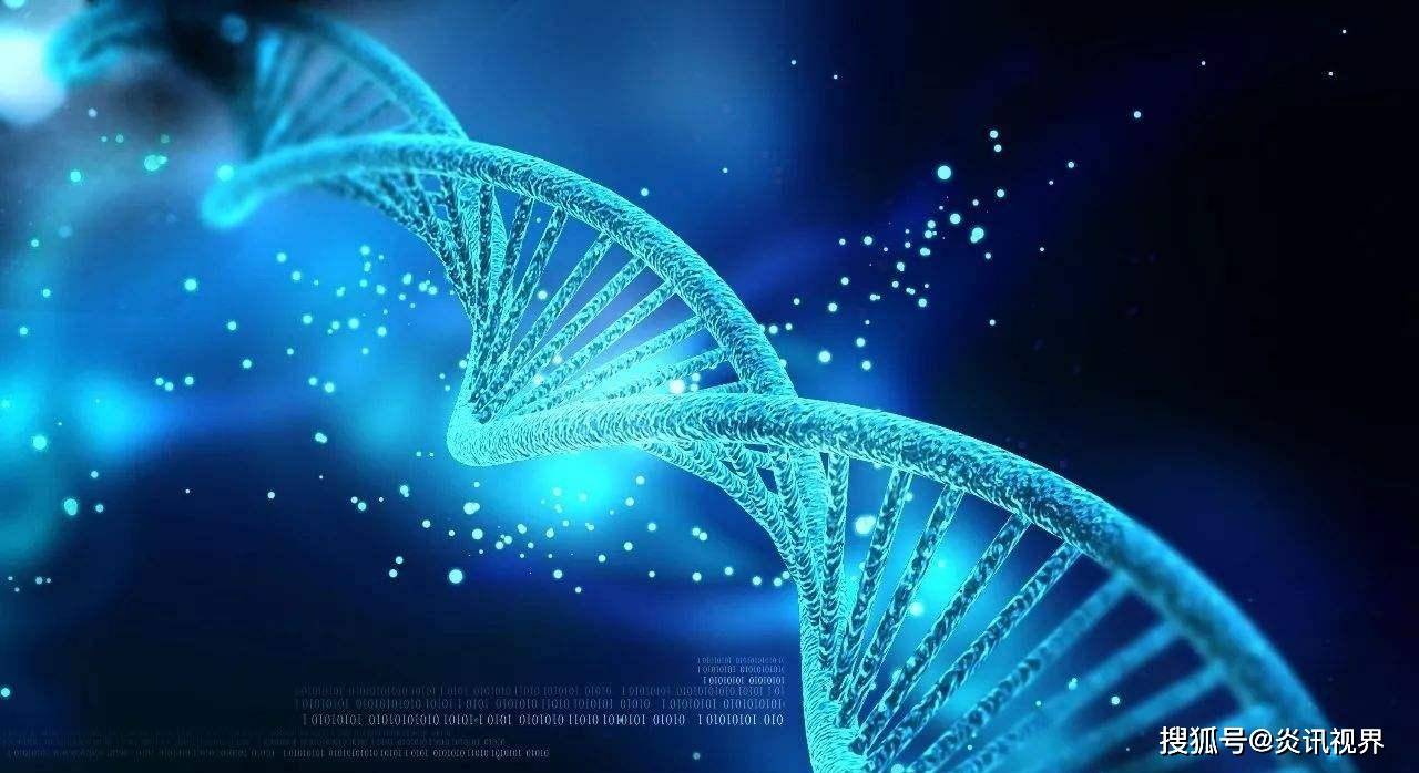 达安基因，在浪潮与暗礁之间，一家中国生物科技公司的三十年航程