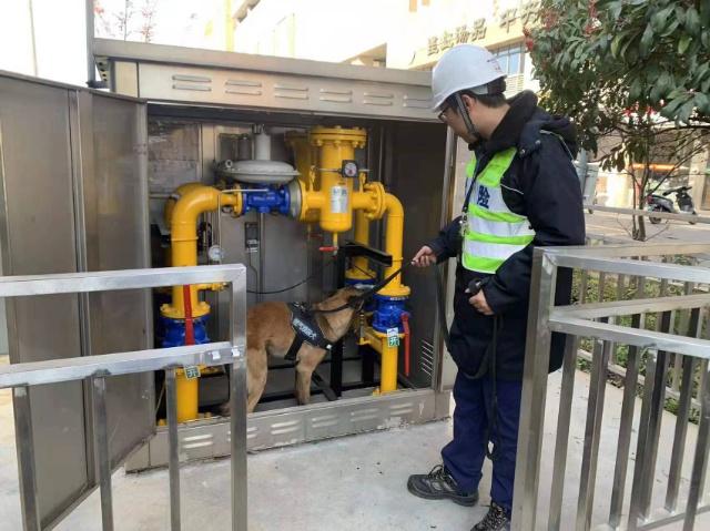 城市气脉的守护者—港兴燃气应急储备库的静默坚守 城市气脉的守护者—港兴燃气应急储备库的静默坚守