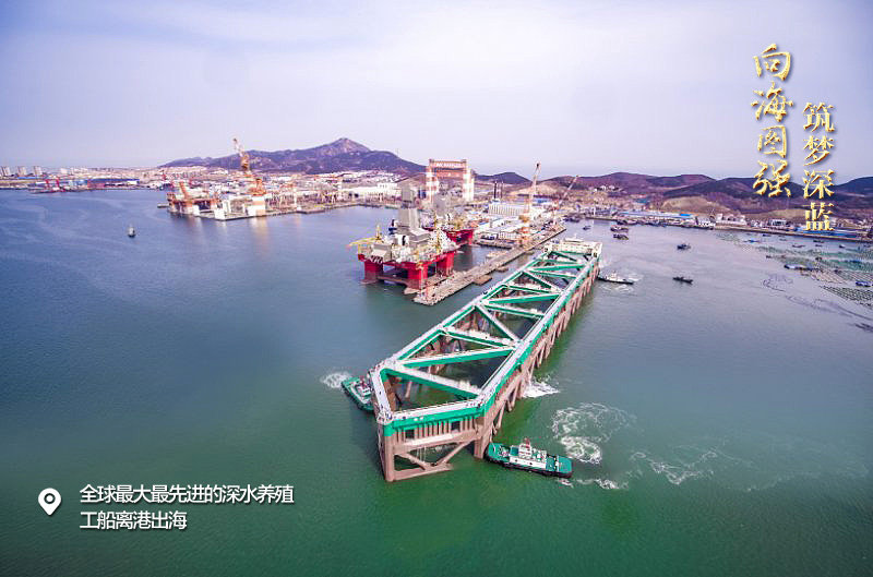 共拓产业出海新蓝图，从单船出海到舰队远航的时代之变