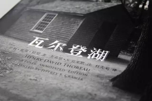 伊以停火协议艰难维系，脆弱的平静之下，暗流依然汹涌