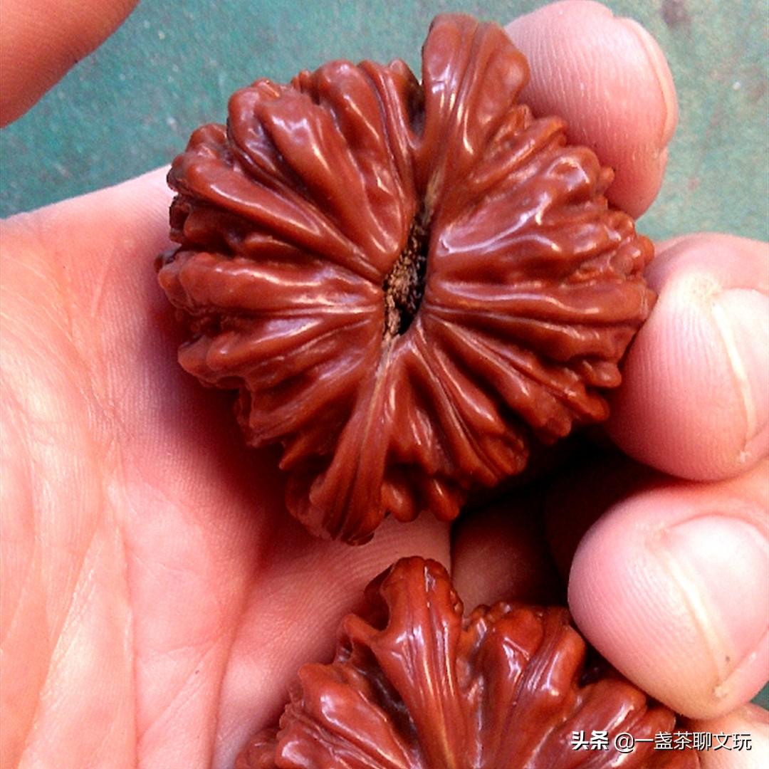 去年深秋，我陪朋友去山里收核桃。车在盘山路上绕了三个小时，终于停在半山腰的一个小村。村里只有七户人家，核桃树倒是漫山遍野。打下来的青皮核桃堆在路边，像一座座小山