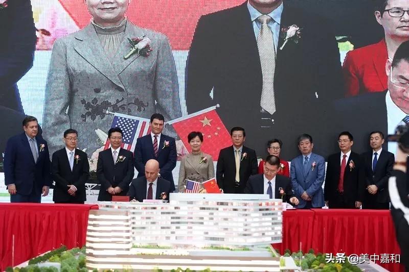 美中嘉和，在技术的精度与人文的温度之间，构筑肿瘤治疗的第三种答案