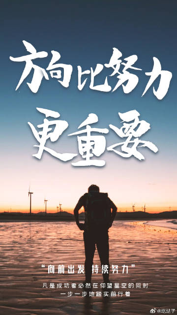 将努力解决问题，而不是将问题解释成宿命