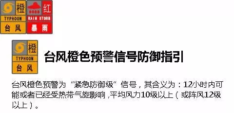 那些远超预期的瞬间，是生活偷偷塞给你的糖